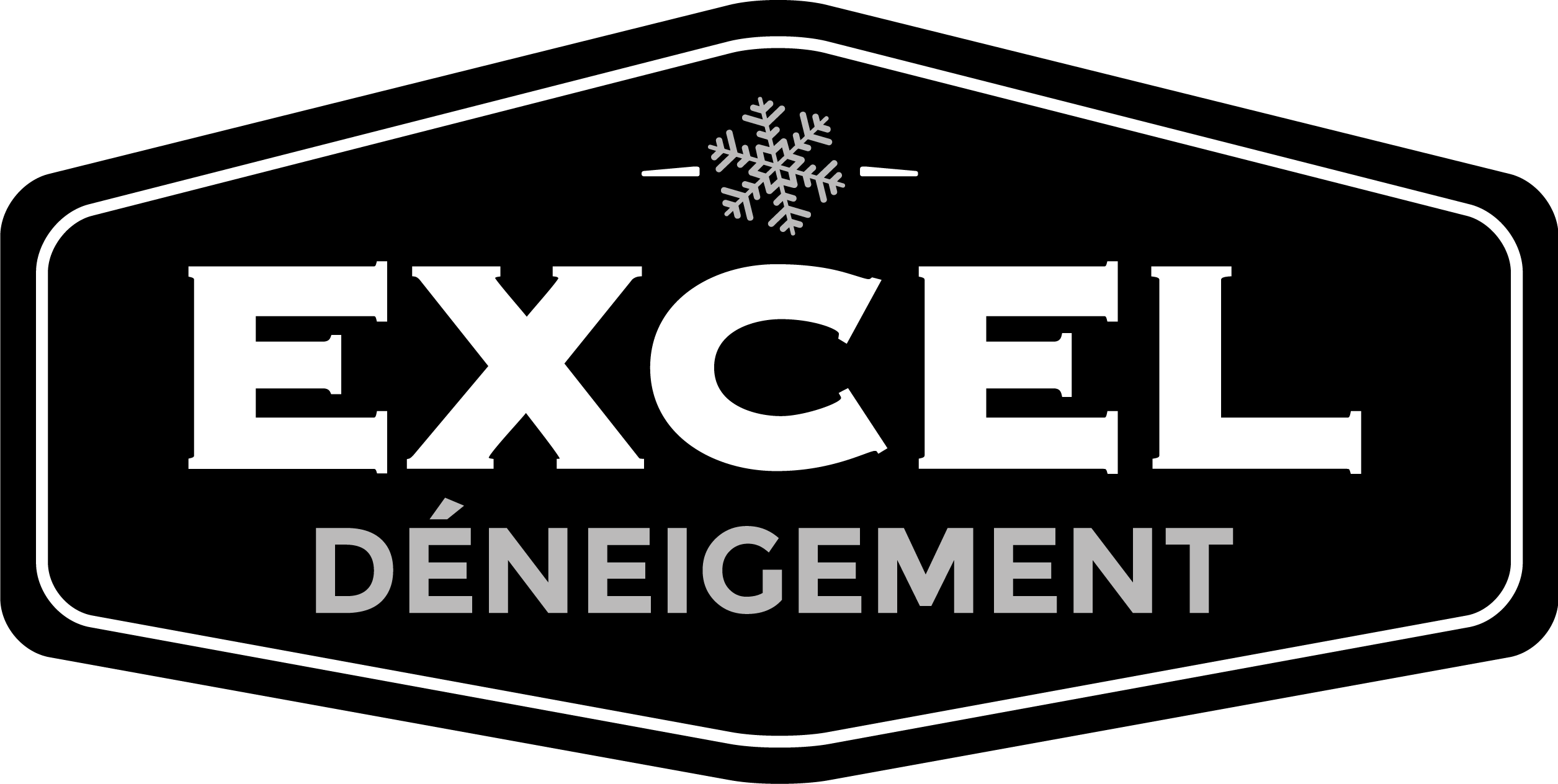 logo excel et cie hexagone noir transparent